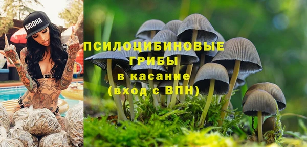 марки lsd Коряжма